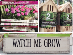 trends-trade-2Lgarden-300x225.png trends-trade-2Lgarden-300x225.png